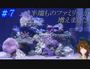 半端ものの海水魚飼育　＃re７～サンゴ追加と苔対策～