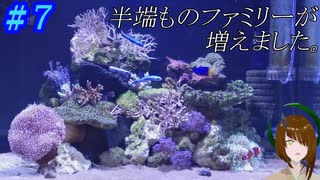 半端ものの海水魚飼育　＃re７～サンゴ追加と苔対策～