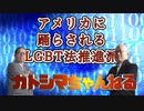 カトシマニコニコNo,5    アメリカに踊らされるLGBT法推進派！