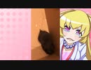 ヒヨリちゃんのハムスターの日常。30