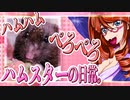 キッキのハムスターちゃんの日常。62