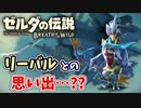 【ゼルダの伝説ブレスオブザワイルド実況】3Dで広大な世界を自由に走り回れる楽しさをおすそ分け！？part66