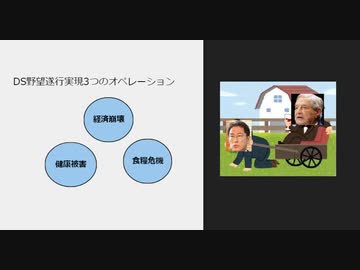 DS野望遂行実現3つのオペレーション視聴少し　雑談