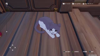 【原神】カワイスギクライシス　猫を愛でるだけ