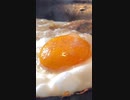 ただ焼いただけなのにカリカリで濃厚　最強Vermicular