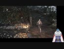 人形を使う！？ナニに使うんですかねぇ… 【Bloodborne】　part3