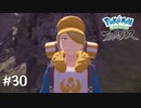 プレート巡りの旅へ【ポケモンレジェンズ アルセウス】#30