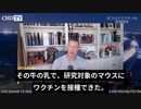トム・レンズ弁護士：「食べれば接種」。伝染性mRNAワクチン研究の現状。接種済みの牛の乳でマウスを接種、野菜コロナワクチン！