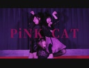 【きりももんちゅ】PiNK CAT【踊ってみた】