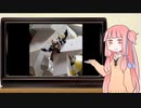【ガンプラ】ダンディライアンⅡ制作記 Part.3【フルスクラッチ】