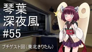 琴葉姉妹の深夜風ラジオ/#55 「不審者/ゲスト：きりたん/変態紳士クラブ/電子マグロ/老婆向け風俗 /パーコーカレーチャーハン」