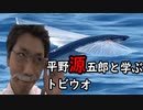 無駄だよ。そのトビウオは空を飛べるのだ