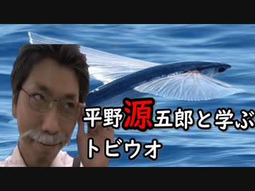 無駄だよ。そのトビウオは空を飛べるのだ