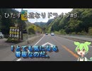 【ずんだもんと行く】 ひたすら道なりドライブ　第9回　国道41号から国道1号　その1【岐阜県下呂市→愛知県】