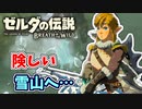 【ゼルダの伝説ブレスオブザワイルド実況】3Dで広大な世界を自由に走り回れる楽しさをおすそ分け！？part67