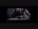 【ACE COMBAT ZERO】×【夏芽みのりゴールデンシコシコウィーク】応援 MAD【嘘字幕】