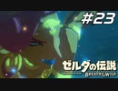 【英傑たちの詩】英傑 ウルボザの詩 ゼルダの伝説 ブレスオブザワイルド マスターモード Part23【ゲーム実況】