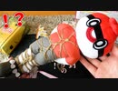 S　M　ボ　ー　ル　ガ　イ　！　！【ニコこれ差し入れ開封その５】