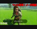 ティアーズオブキングダムでも続投しそうなイーガ団【ゼルダの伝説 ブレス オブ ザ ワイルド】#18