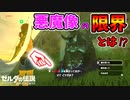 悪魔像に器は最大何個まで預けられる？【ブレワイ BotW】裏技 バグ 検証 ゆっくり実況 glitch