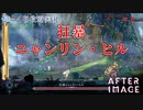 【AFTERIMAGE】第8回　狂暴ニャンリン・ヒル　じっくり攻略実況　アフターイメージ