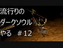 【実況】流行りのダークソウルやるpart12【DARKSOULS】