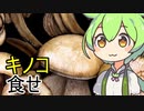 キノコ食べる