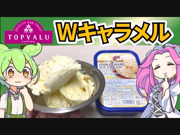 トップバリュの赤いヤツ「ダブルキャラメルアイスクリーム」