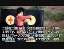 大谷７号、５試合連続安打＝ダルビッシュは６回４失点―米大リーグ