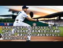 大谷翔平の歴史をまとめて　AI作成動画