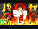 【Minecraft】マインフィットアドベンチャー＃１２【マイクラ】【ゆっくり実況】