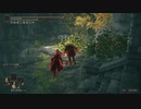 北の斧槍＆短剣侵入録　Part11