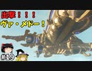 【ゆっくり実況】初めてのブレワイ無双！part19【ゼルダ無双】