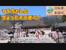 【きずマキ車載】マキちゃんとちょっとそこまで！Dest.21_筑波山神社【ニコニコ自転車動画祭2023春 】
