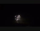 2023.4.29 （秋田） 大曲の花火 -春の章- 【東京都 丸玉屋小勝煙火店】