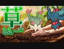 【ポケモンSV】ぼくは草タイプ統一でいくぜ実況3