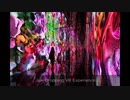 Sensorial Art