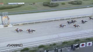 第4回ノトキリシマ賞（ホークビル賞） ショウガタップリ
