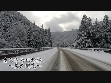 ある冬の日記帳～美女街道～