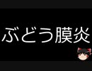 【ゆっくり朗読】ゆっくりさんと不思議な病気 その573
