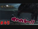 モンハンにいませんでしたか？　「ホグワーツ・レガシー」　＃45