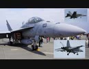 厚木基地日米親善春祭り当日と前日にF/A-18E, FスーパーホーネットとEA-18Gグラウラー撮ってみた!![US NAVY VFA-27, VFA-102, VFA-115, VAQ-141]