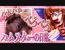 キッキのハムスターちゃんの日常。66