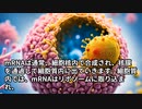 ｍRNAとは　AIに聞いてみた