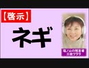 【啓示】ネギ　→続きはmediableで！