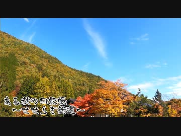 ある秋の日記帳～せせらぎ街道～