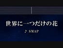 カラオケ♬ 世界にひとつだけの花 - SMAP 【ガイドメロディなし】 インスト, 歌詞