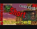 FF6ショート26　サボテンダー　フンババ　ガウ仲間　シャドウ救出　キングベヒーモス