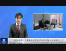 2022年度、中国進出の伊企業の約半数が収益減少