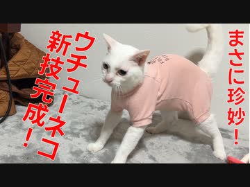 ウチューネコ、新たなる珍妙ワザを会得する